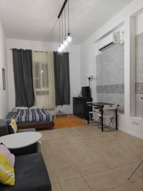 Downtown Classic Apartment